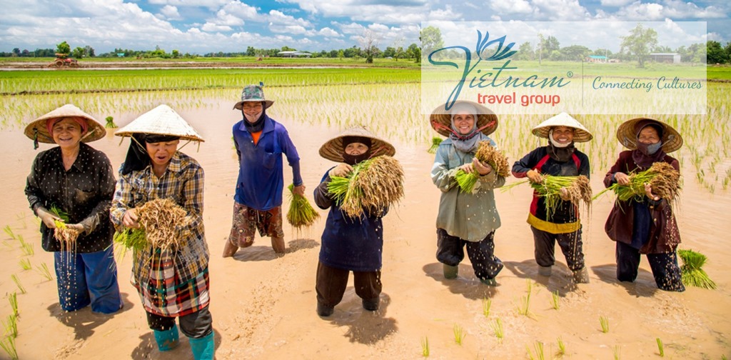 Vietnam Farmer